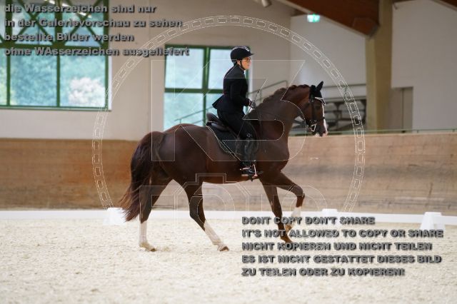 s_K3F02476.JPG